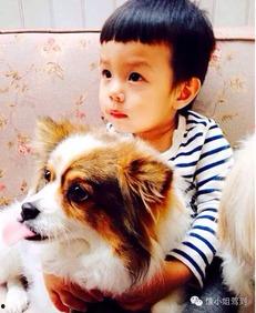 娱乐圈吃瓜小狗小说在线阅读,吃瓜小狗的甜蜜复仇之旅