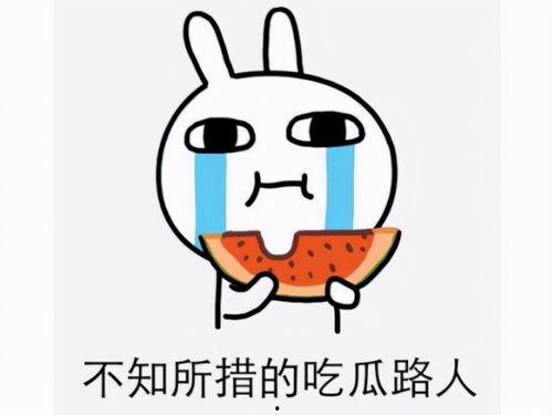 网上吃瓜犯法吗,法律边界与道德考量