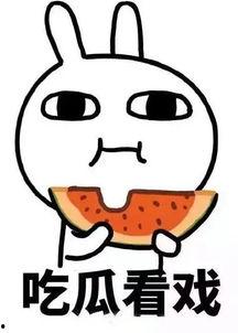 吃瓜娱乐间真假,真假吃瓜，真相大白